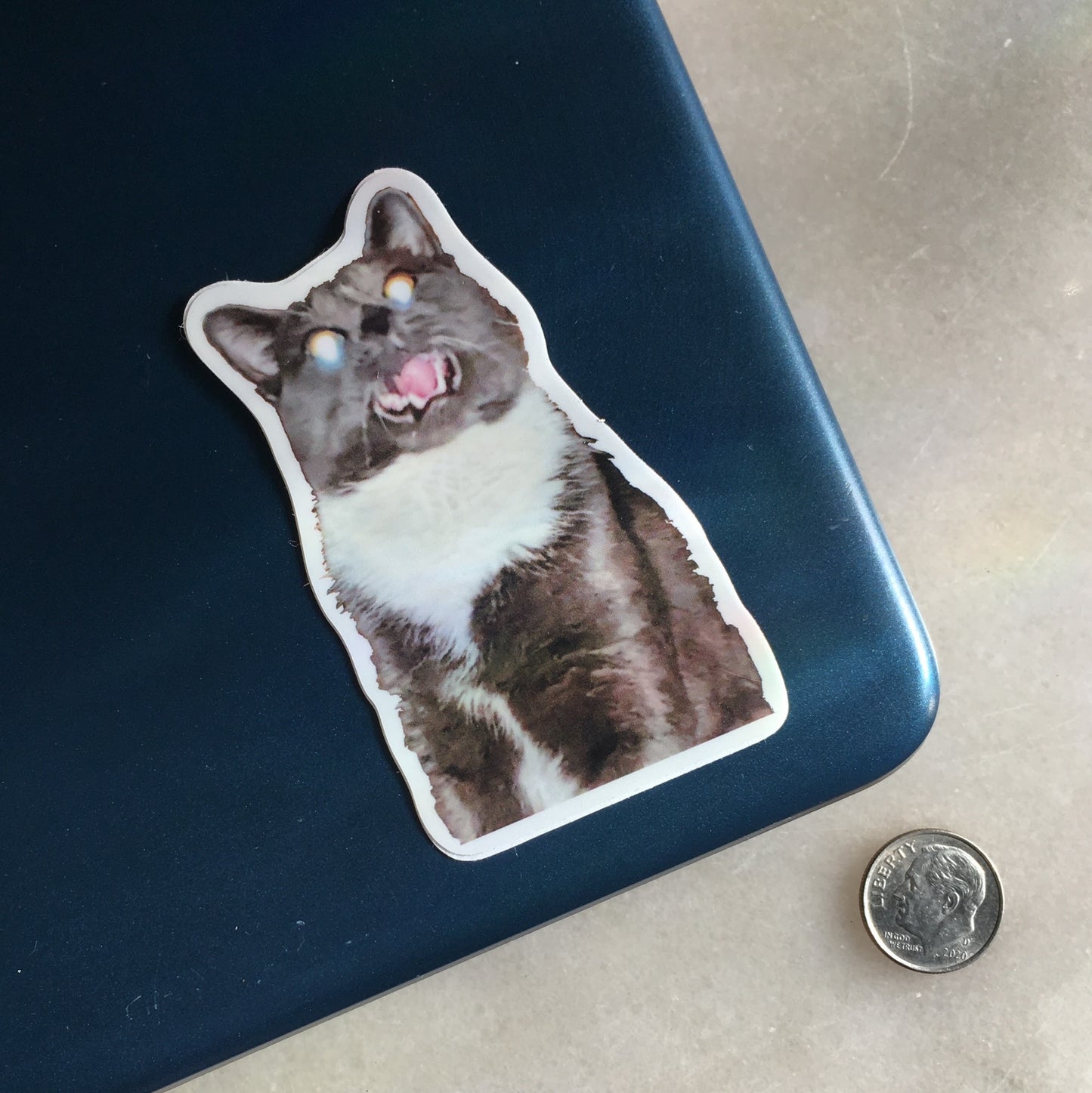 Cat Sticker