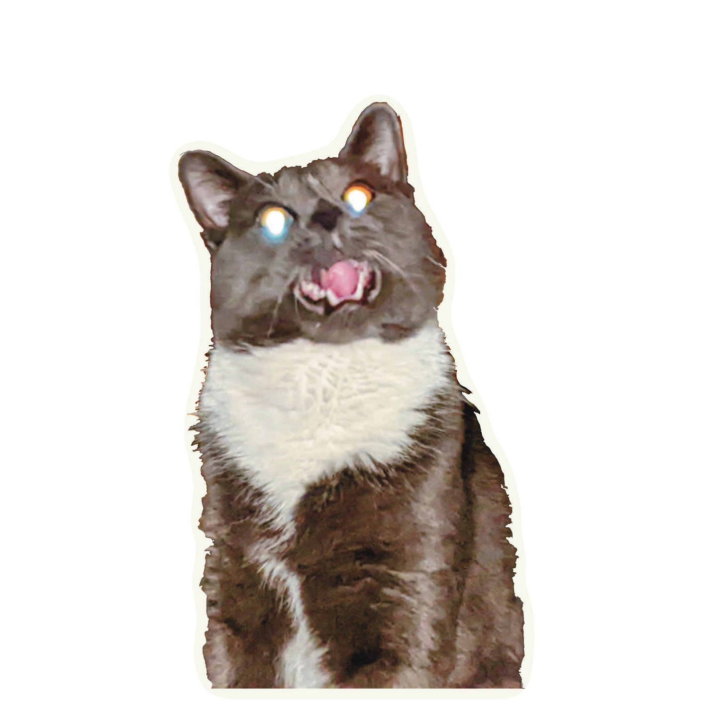 Cat Sticker