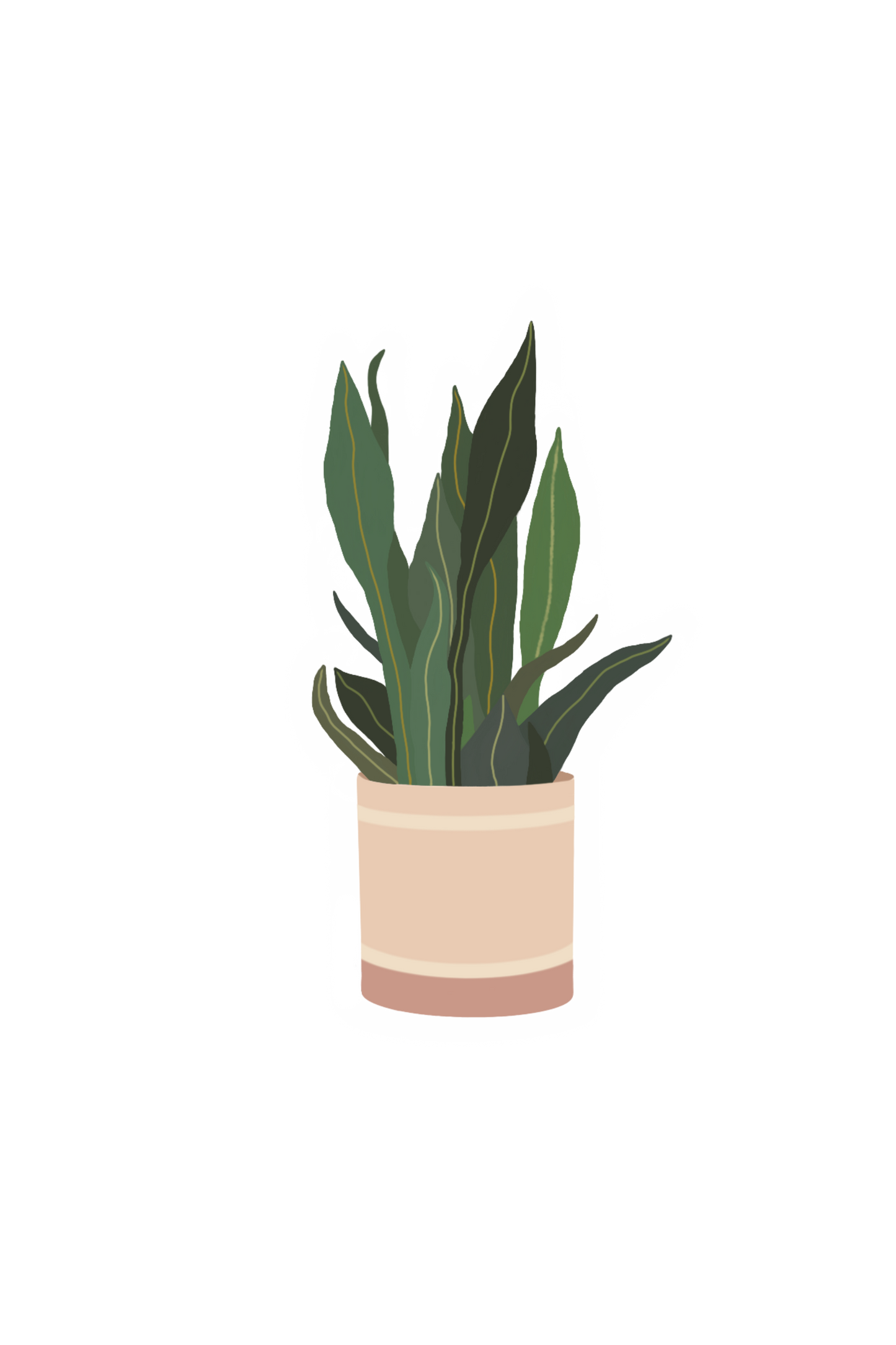 Snake Plant Sticker