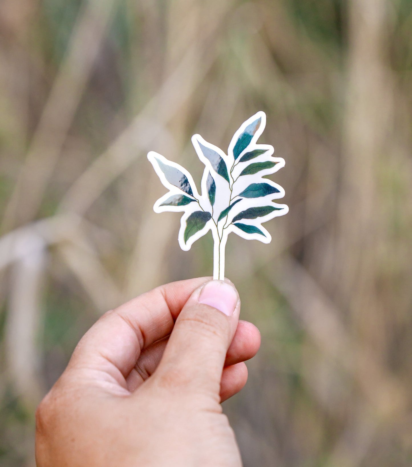 Leafy Branch Sticker